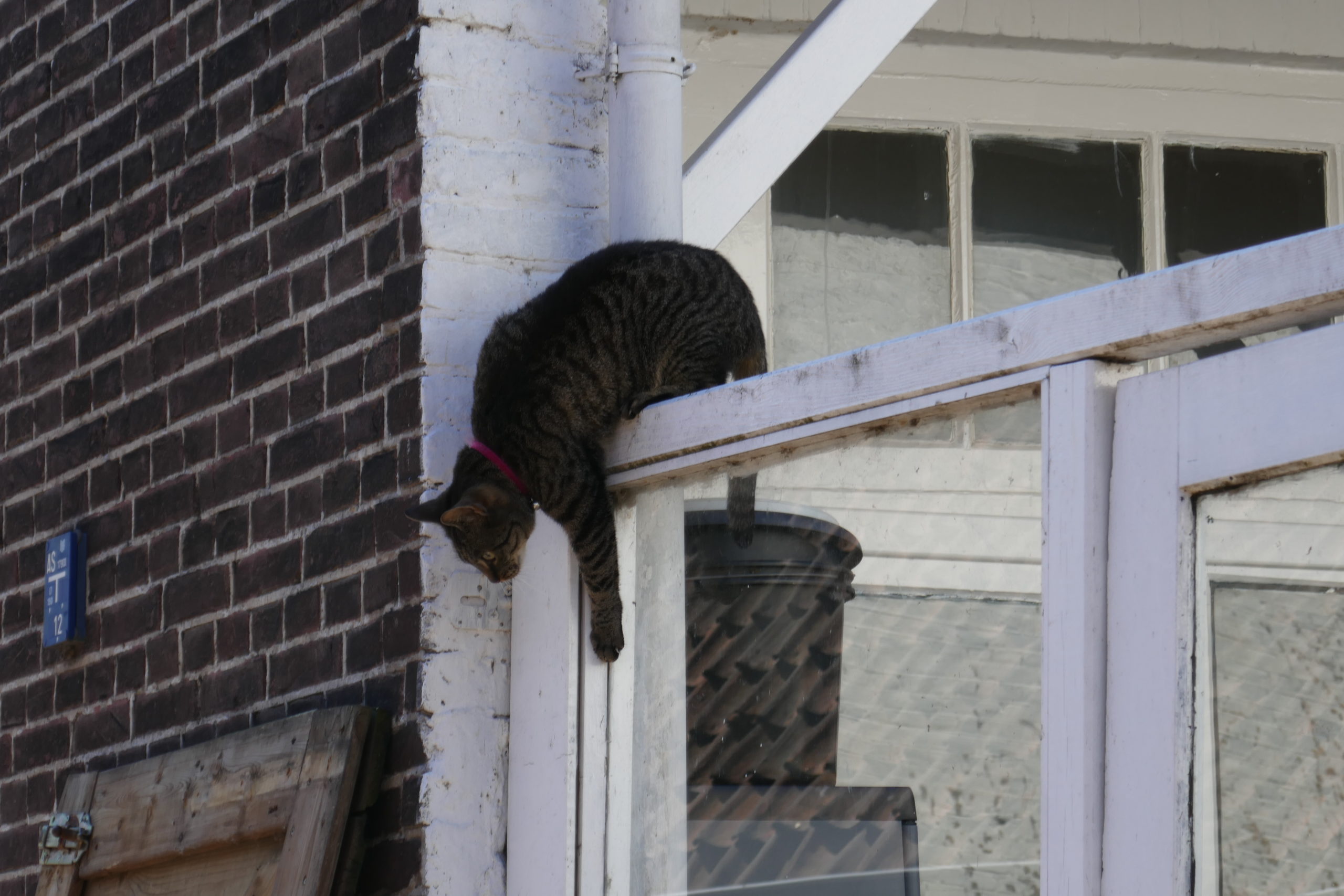 Taking a careful stroll