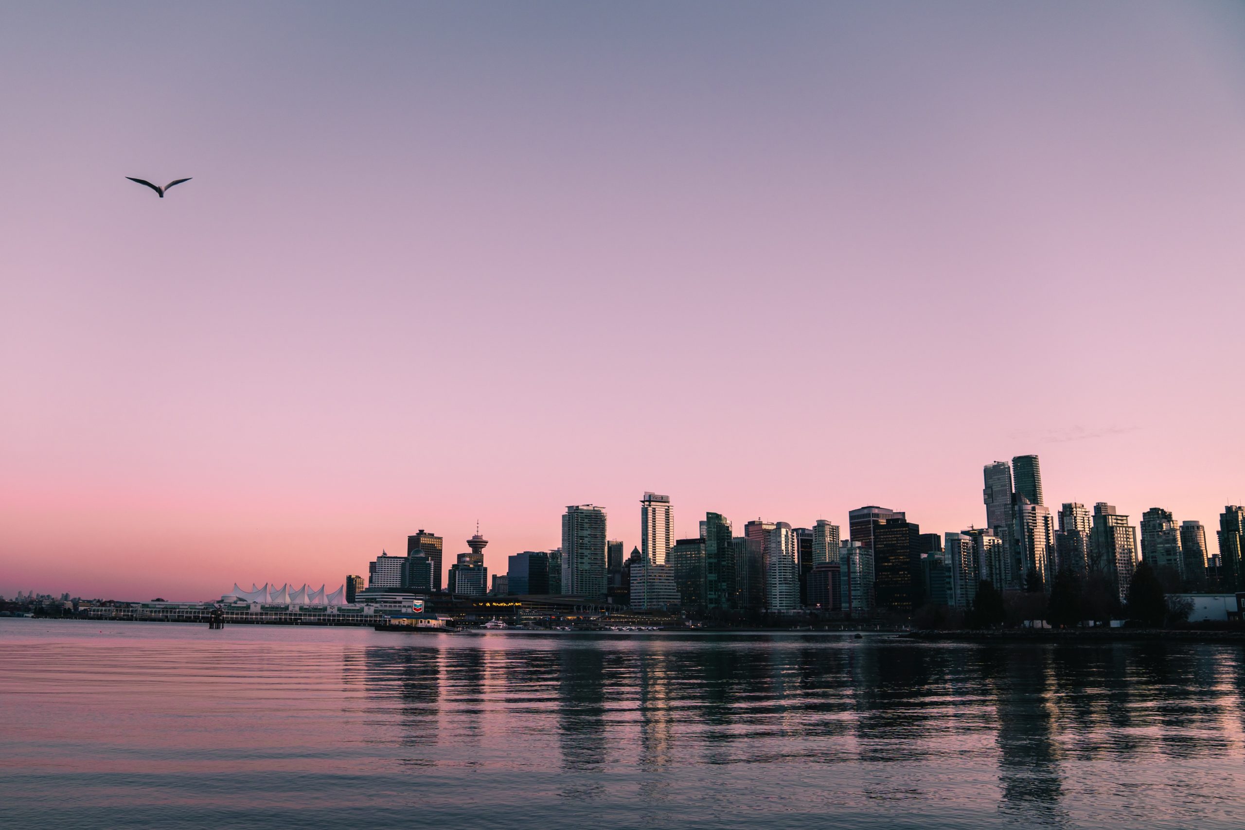 Purple skyline